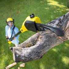 Best Lawn Drainage Solutions  in Lovington, NM