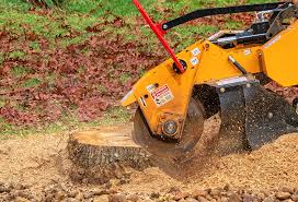 Best Tree Cabling and Bracing  in Lovington, NM