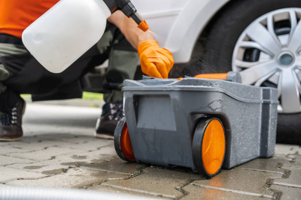 Best Stump Grinding and Removal  in Lovington, NM